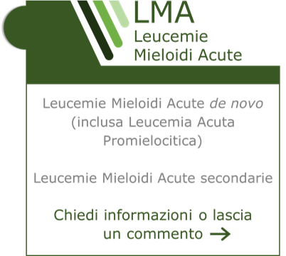 Chiedi informazioni LMA