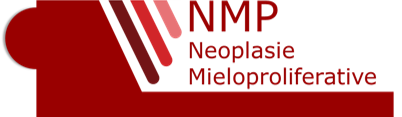 Icona NMP